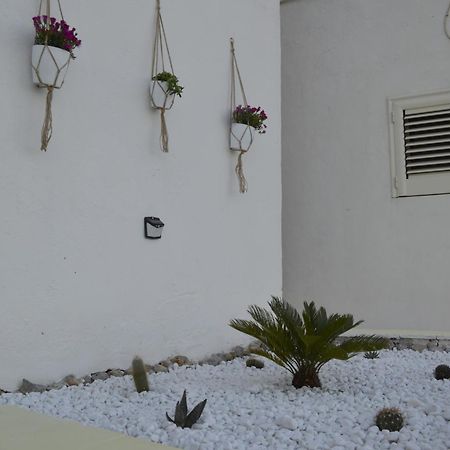 Casa Vacanza Salentina Gagliano del Capo Dış mekan fotoğraf